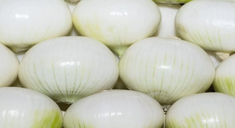 Reportan cebolla blanca a $45 el kilo