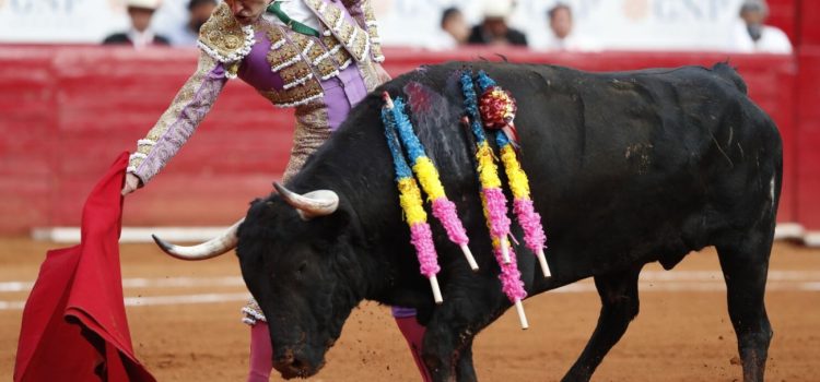 Piden regular y no eliminar corridas de toros en Guanajuato