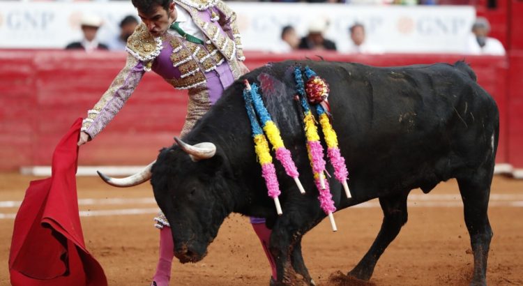 Piden regular y no eliminar corridas de toros en Guanajuato