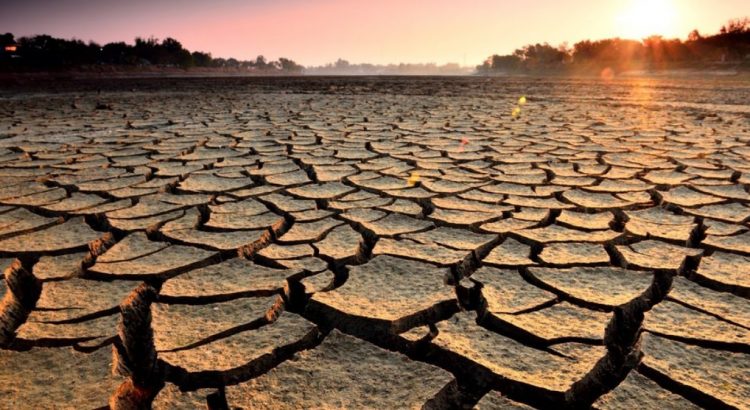 Reportan ocho municipios con sequía severa en la entidad
