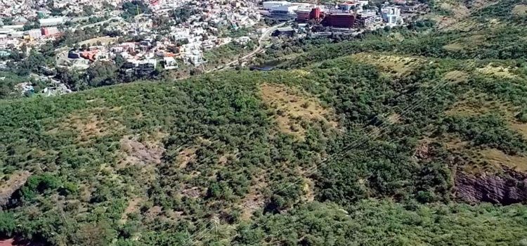 Avanzan proyectos de Bosques Urbanos en Guanajuato