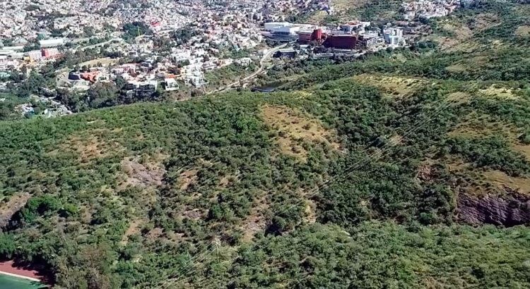 Avanzan proyectos de Bosques Urbanos en Guanajuato