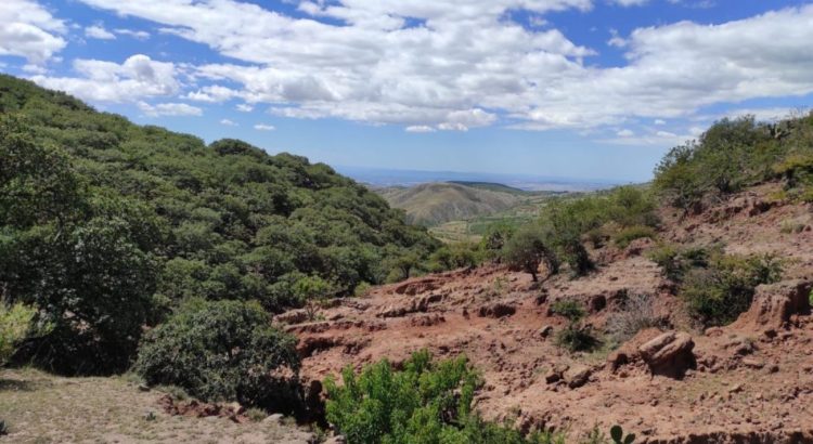 Guanajuato se adapta al cambio climático para el bienestar social y económico