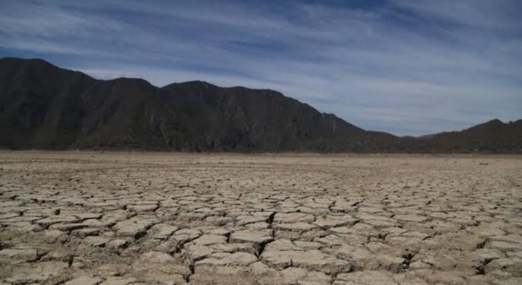 Garantizan apoyo a municipios con sequía en la entidad