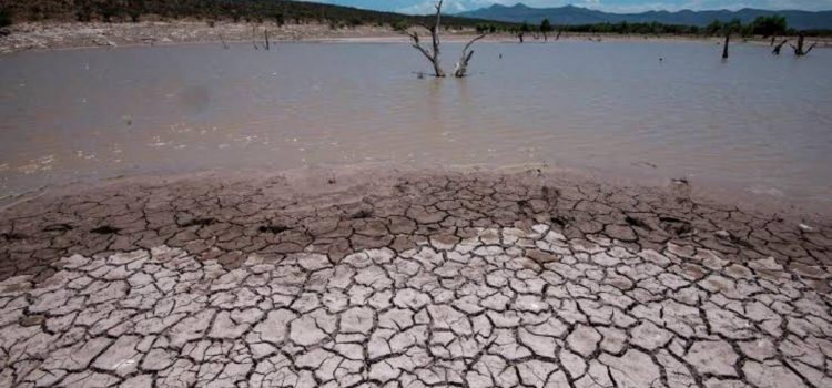 Guanajuato segundo lugar a nivel nacional por estrés hídrico
