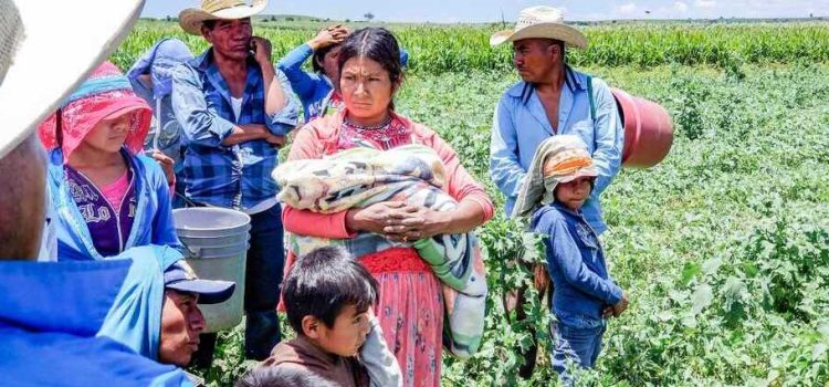 Reconoce Guanajuato a las mujeres migrantes
