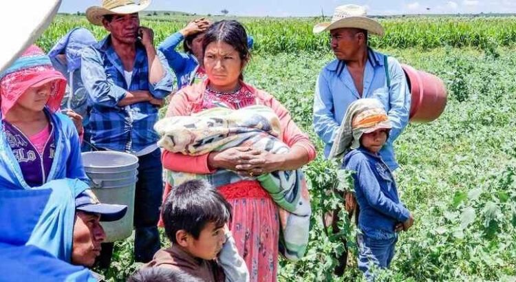 Reconoce Guanajuato a las mujeres migrantes