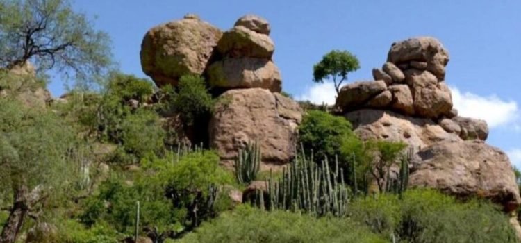 Celebra quinto aniversario zona arqueológica de Arroyo Seco