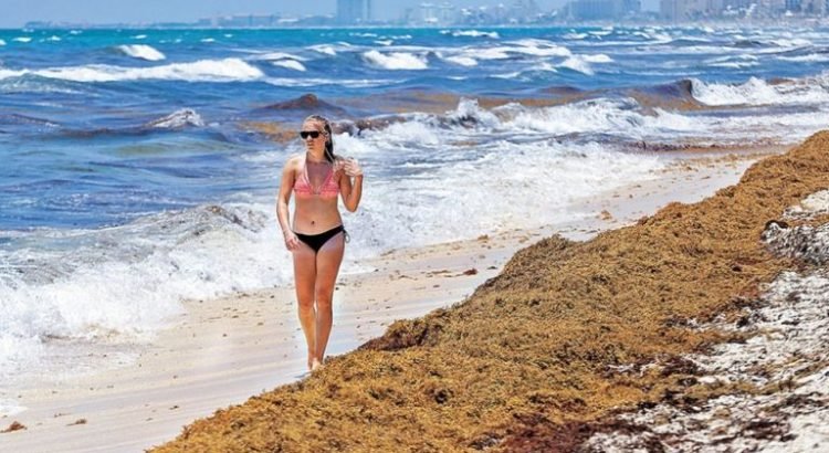 Turismo internacional baja 2.4% en enero