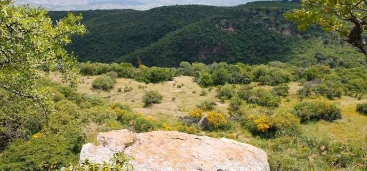 Cuenta Guanajuato con 23 áreas naturales protegidas en toda la entidad