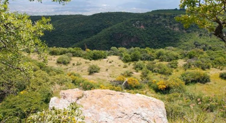 Cuenta Guanajuato con 23 áreas naturales protegidas en toda la entidad