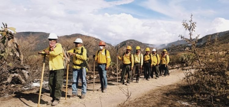 Extinguen incendio en la Sierra de los Codornices