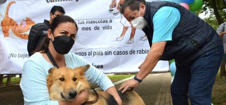 Realizarán Jornada Intensiva de Vacunación Antirrábica Canina y Felina