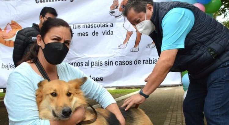 Realizarán Jornada Intensiva de Vacunación Antirrábica Canina y Felina