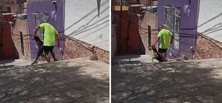 Sujeto arrastra a un perro por un callejón de la capital