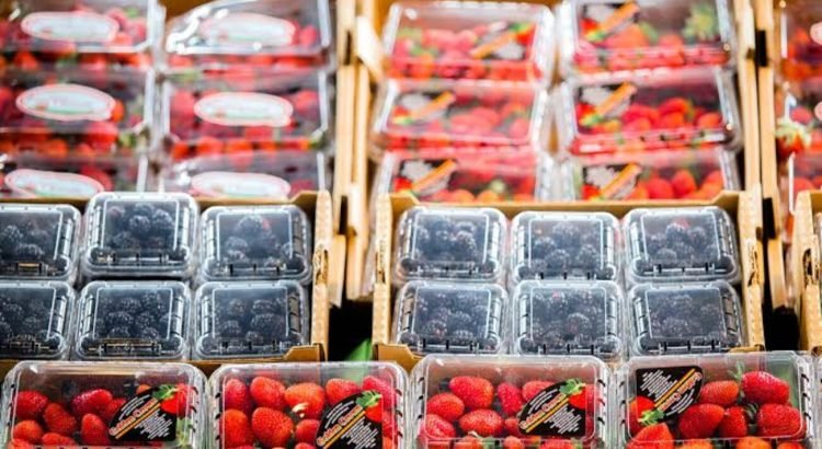 Crecen exportaciones agrícolas en el Estado