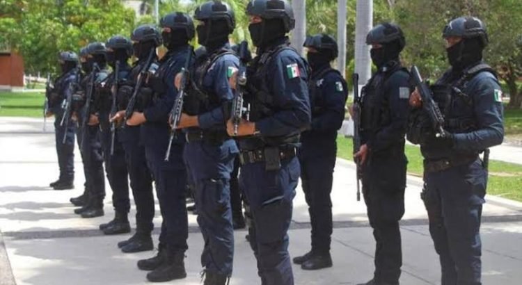 Aseguran alrededor de 4 mil 500 dosis de drogas en la entidad