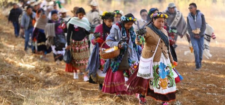 Resguardan en Guanajuato las tradiciones indígenas