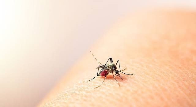 Incrementan casos de dengue en Guanajuato