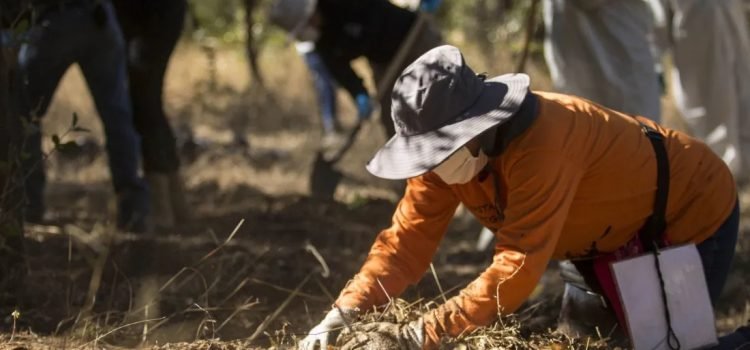 Suman 9 personas buscadoras asesinadas en Guanajuato