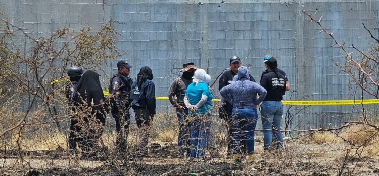 Encuentran 21 cuerpos en una fosa clandestina de Abasolo