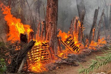 Incendio forestal en Salvatierra se extiende hasta zona habitacional y arrasa con 6 casas