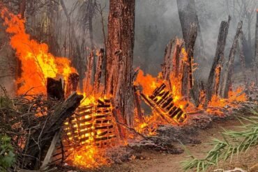 Incendio forestal en Salvatierra se extiende hasta zona habitacional y arrasa con 6 casas