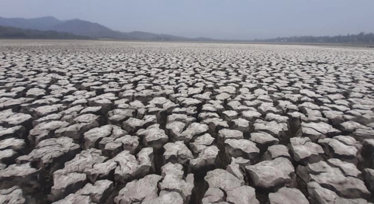 Déficit de lluvias en Guanajuato repercute en las presas de la entidad Déficit de lluvias en Guanajuato repercute en las presas de la entidad
