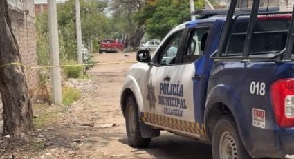 Sicarios asesinan a 4 integrantes de una familia en Villagrán, Guanajuato