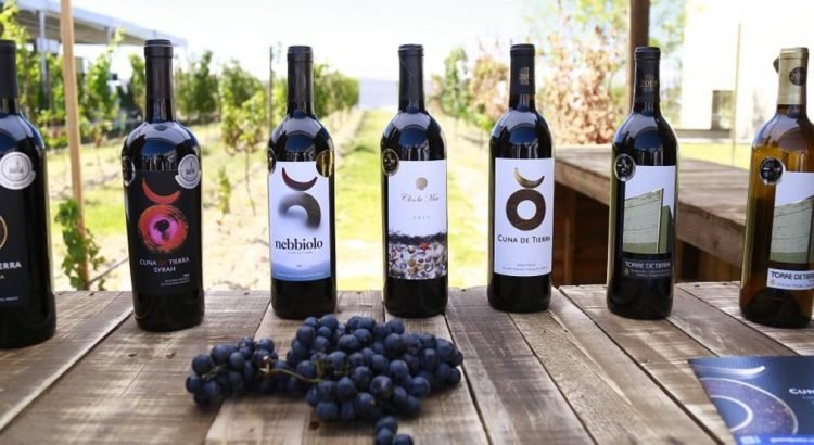 Guanajuato se Consolida como Potencia Vitivinícola en México