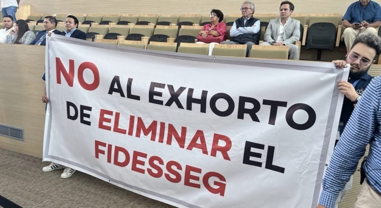 Más de 282 organizaciones de Guanajuato se pronunciaron se pronuncian a favor del FIDESSEG