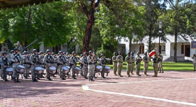SEDENA destruye armas, cargadores y cartuchos incautados en Guanajuato SEDENA destruye armas, cargadores y cartuchos incautados en Guanajuato