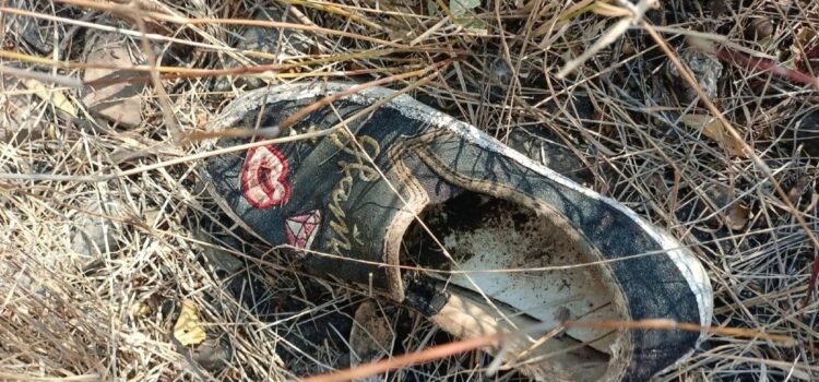 Comisión Estatal de Búsqueda de Personas detecta 69 fosas clandestinas en Guanajuato en solo seis meses