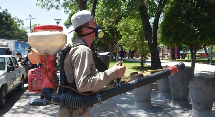 Guanajuato cierra 2024 con más de 3 mil casos de dengue