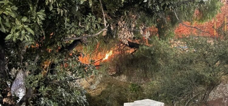 Joven causa incendios en Guanajuato