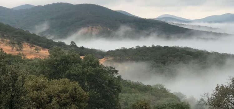 ¡No guardes la cobija! Continuarán los fríos en Guanajuato