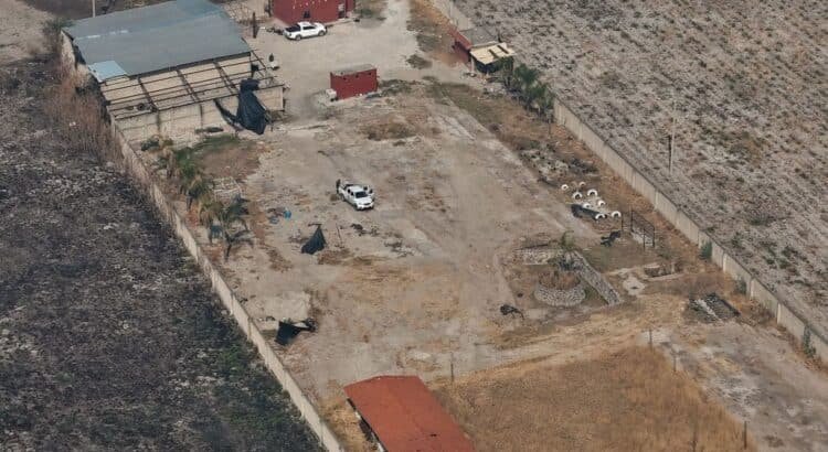 Localizan presunto campo de adiestramiento y reclutamiento criminal en Yuriria