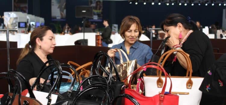 Mujeres en Guanajuato: participación económica y lucha por la igualdad