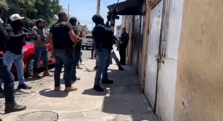 Asegura en Jalisco inmueble utilizado para peleas clandestinas de perros