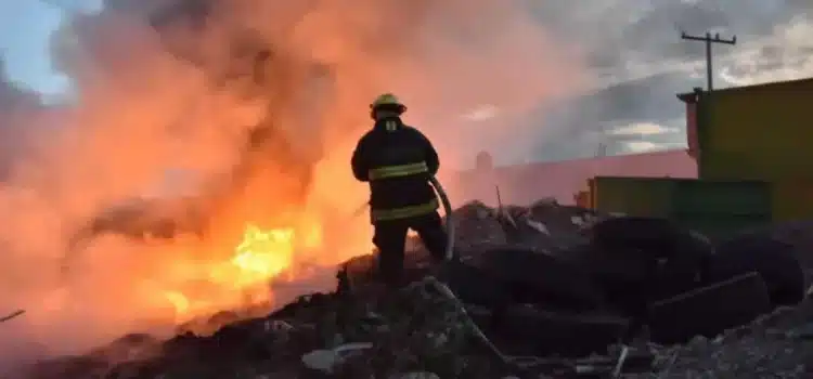 Cambio climático es la causa principal de tantos incendios en Guanajuato