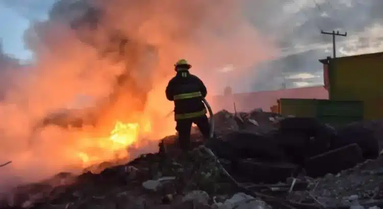 Cambio climático es la causa principal de tantos incendios en Guanajuato