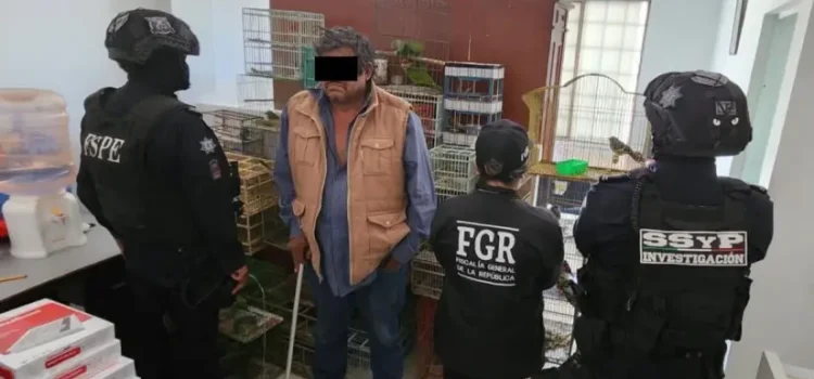 Decomisan más de 100 aves en peligro de extinción en Guanajuato