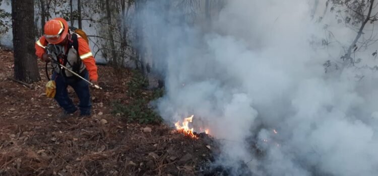 Guanajuato lleva 48 incendios forestales