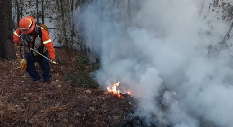 Guanajuato lleva 48 incendios forestales