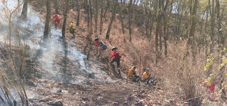 Incendio en la Sierra de los Agustinos sigue sin ceder