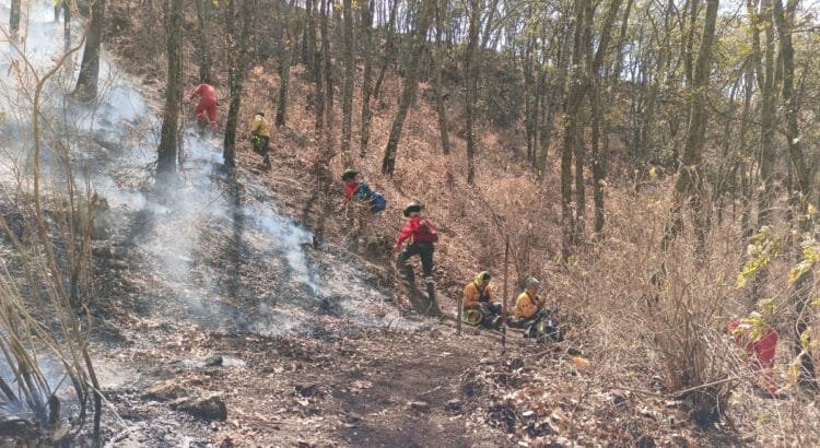 Incendio en la Sierra de los Agustinos sigue sin ceder