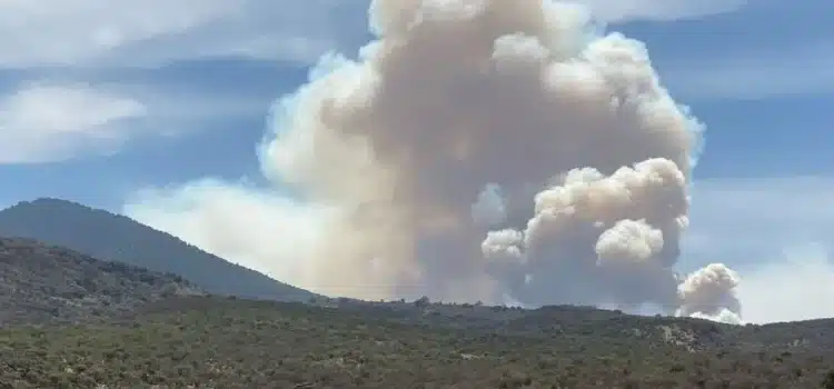 Incendio forestal en Guanajuato se sale de control