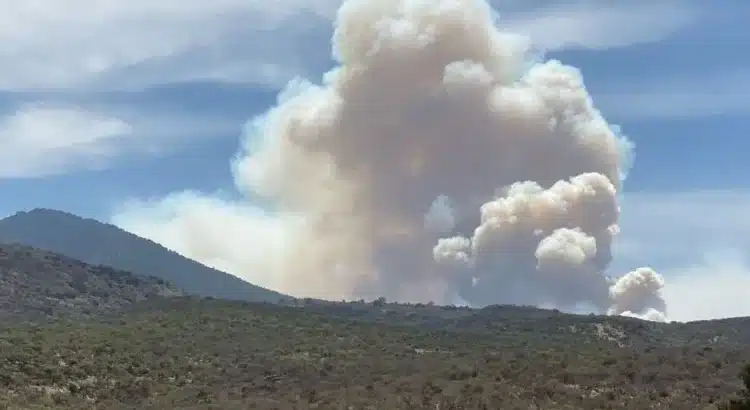 Incendio forestal en Guanajuato se sale de control