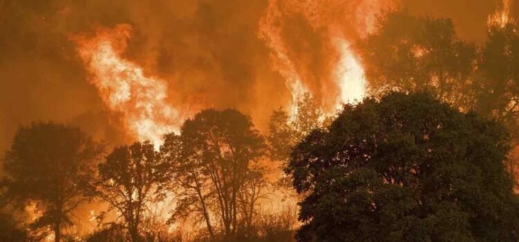 Incrementan los incendios forestales en Guanajuato