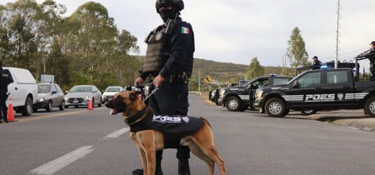 Reducen violencia en Guanajuato tras operativos federales